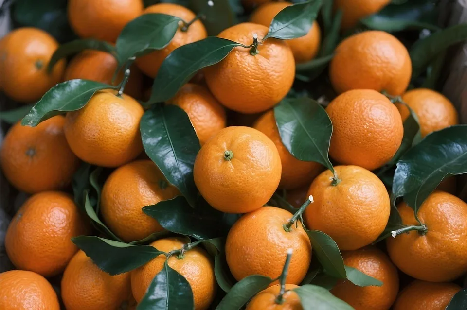 mandarins 10021990 960 720.jpg