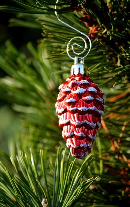 pinecone 10001896 960 720.jpg