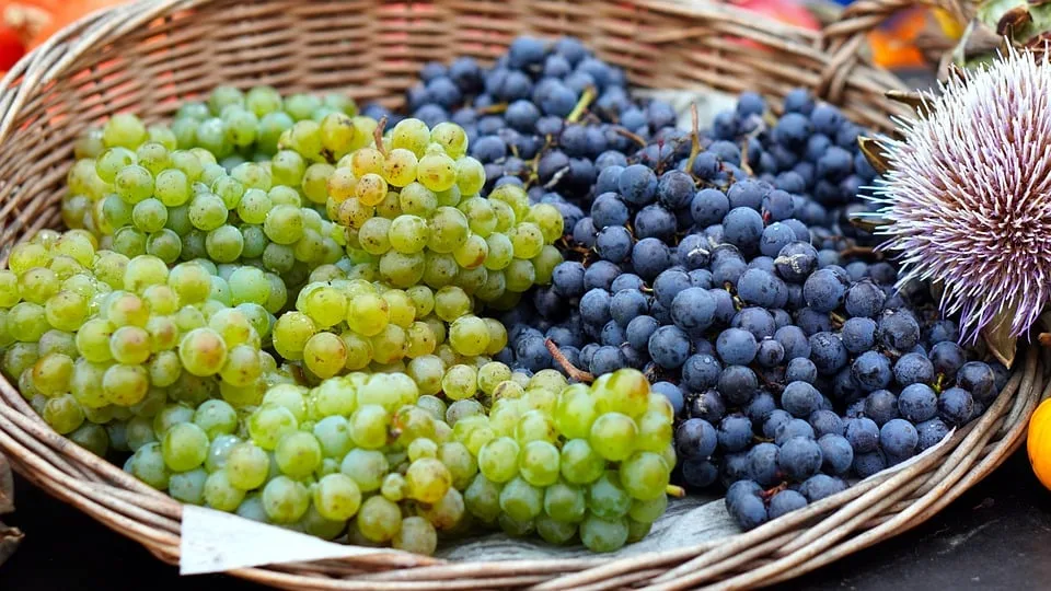 white grapes 10061780 960 720.jpg