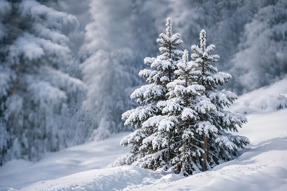 winter 10021741 960 720.jpg